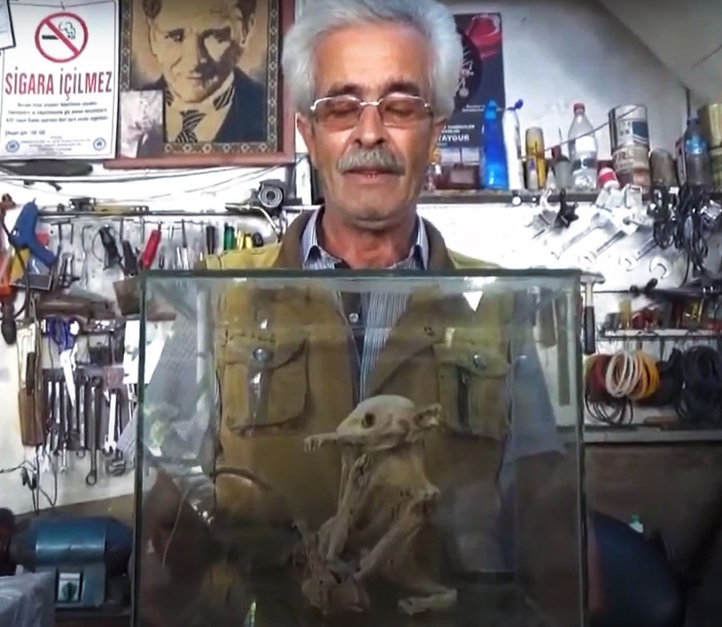 Turek odmawia sprzedaży szczątek zwierzęcia. Trzyma je w gablocie, w swoim sklepie /East News