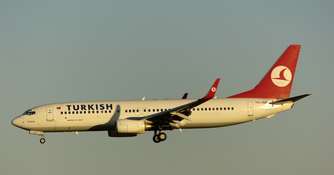 Turkish Airlines. /Aviation-images/UIG Diverse/East News /East News