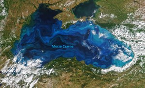 Turkusowy kolor Morza Czarnego. To wszystko dzięki niezwykłym glonom