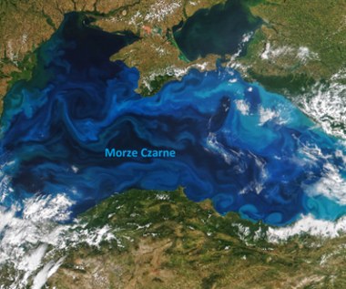 Turkusowy kolor Morza Czarnego. To wszystko dzięki niezwykłym glonom