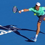 Turniej ATP w Delray Beach: Raonic i Sock zagrają o tytuł