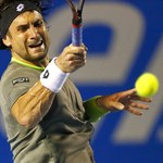 Turniej ATP w Indian Wells: Almagro i Ferrer nie zagrają 