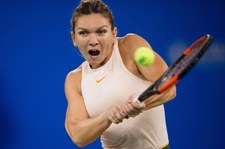 Turniej WTA w Madrycie. Halep i Bertens zagrają w finale