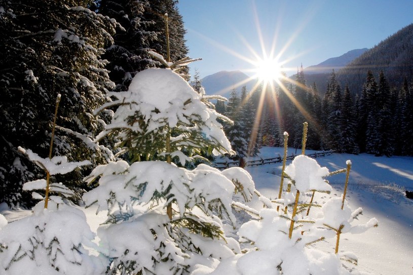 Turyści liczą na śnieg w Tatrach /Adrian Gladecki /Reporter