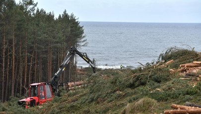Turyści masowo odwiedzają miejsce przekopu Mierzei Wiślanej