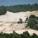 Turyści niszczą wydmy nad Bałtykiem. Gdynia szuka dla nich "ochroniarzy"