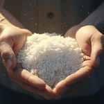 Turyści rzucili się na podróże do Japonii. Niechcący wpłynęli na ceny ryżu