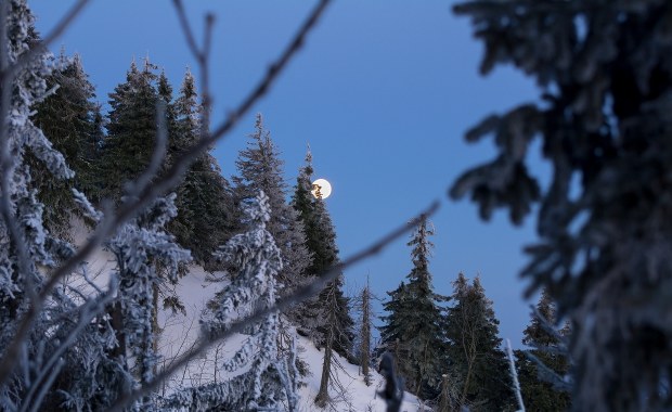 Turyści stracili orientację. Goprowcy sprowadzili z Babiej Góry 10 osób