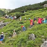 Turyści w Tatrach nagminnie łamią przepisy. Co jest najczęstszym przewinieniem?