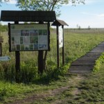 Turyści z Mazowsza utknęli na bagnach. Dramatyczna akcja ratunkowa  