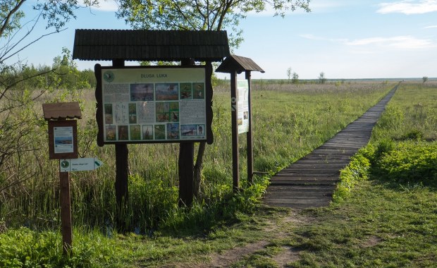 Turyści z Mazowsza utknęli na bagnach. Dramatyczna akcja ratunkowa  