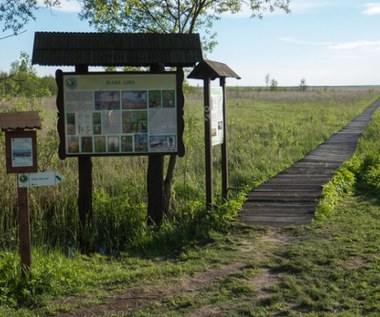 Turyści z Mazowsza utknęli na bagnach. Dramatyczna akcja ratunkowa  
