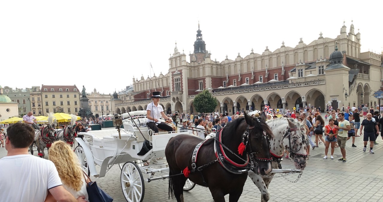 Turyści z Wielkiej Brytanii uważają, że przejazdy dorożkami w Krakowie są za drogie. Zwracają też uwagę na dobrostan zwierząt. /Wojtek Laski/East News /East News