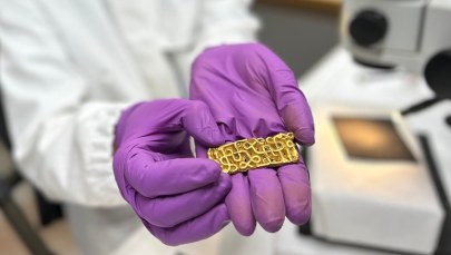 Turysta znalazł 1500-letnią złotą pochwę miecza wodza. Niezwykłe odkrycie w Norwegii