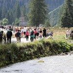 Turystka ranna w wypadku dorożki w Dolinie Kościeliskiej. Woźnica był nietrzeźwy