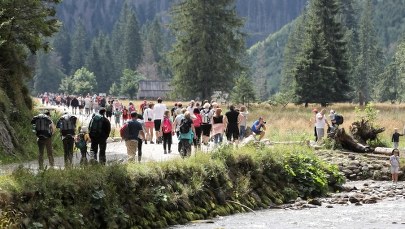Turystka ranna w wypadku dorożki w Dolinie Kościeliskiej. Woźnica był nietrzeźwy