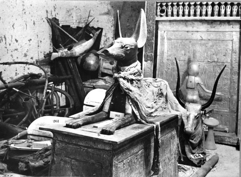 "Tutanchamon: Ostatnia wystawa" /POLSAT VIASAT HISTORY  /materiały prasowe