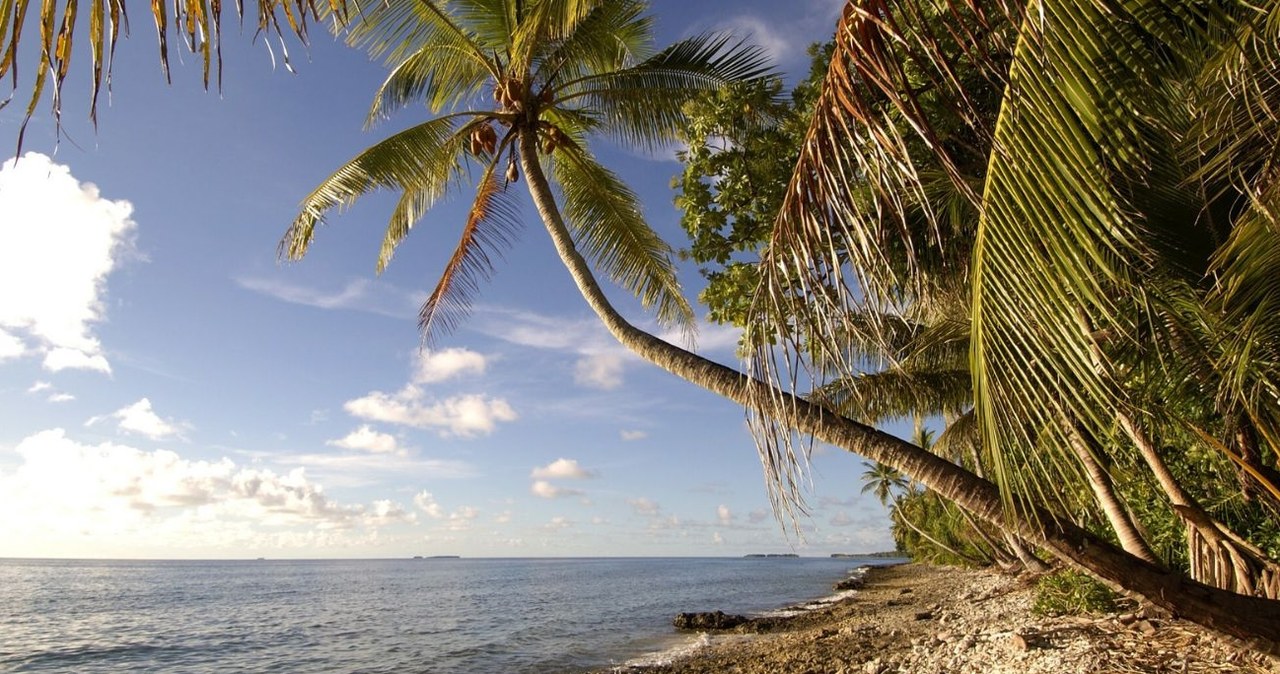 Tuvalu może zniknąć z mapy świata. Powodem zmiany klimatu /BIOS /East News