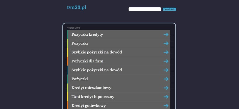 tvn23.pl - przykład typosquattingu /materiały prasowe