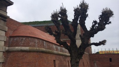 Twierdza w Zamościu