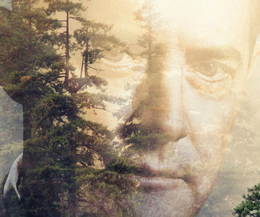 "Twin Peaks": Znajome twarze - nowa zapowiedź