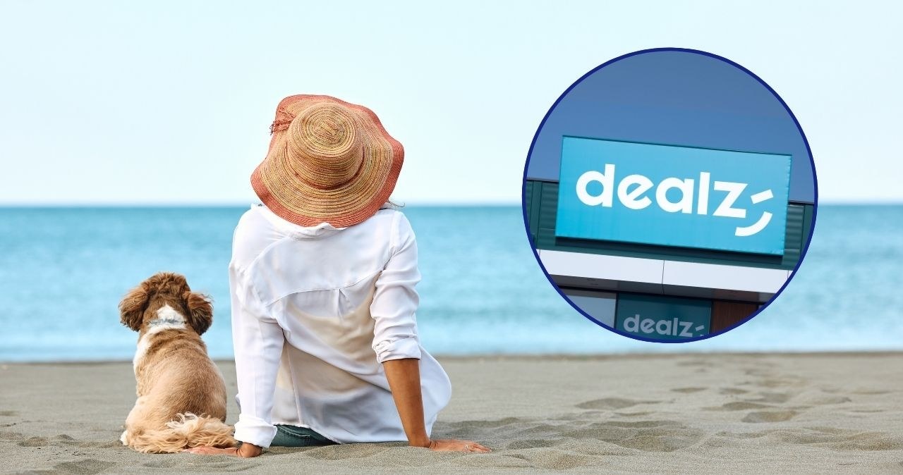 Twój pies będzie zachwycony! Zobacz, co Dealz przygotował w letniej promocji /adobestock /INTERIA.PL