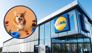 Twój pupil oszaleje ze szczęścia! Zobacz, co czeka na niego w Lidlu