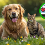 Twój pupil zasługuje na prezent – sprawdź ofertę Biedronki na Dzień Zwierząt