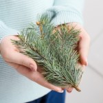 Twoja choinka się sypie? Do tego wykorzystasz igliwie