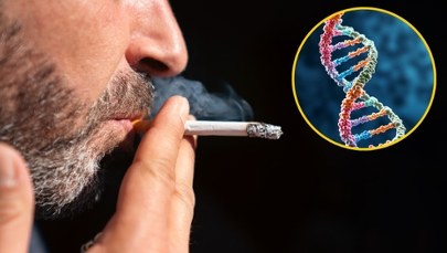 ​Twoje DNA pokaże, czy palisz. Polski wynalazek podbija świat nauki