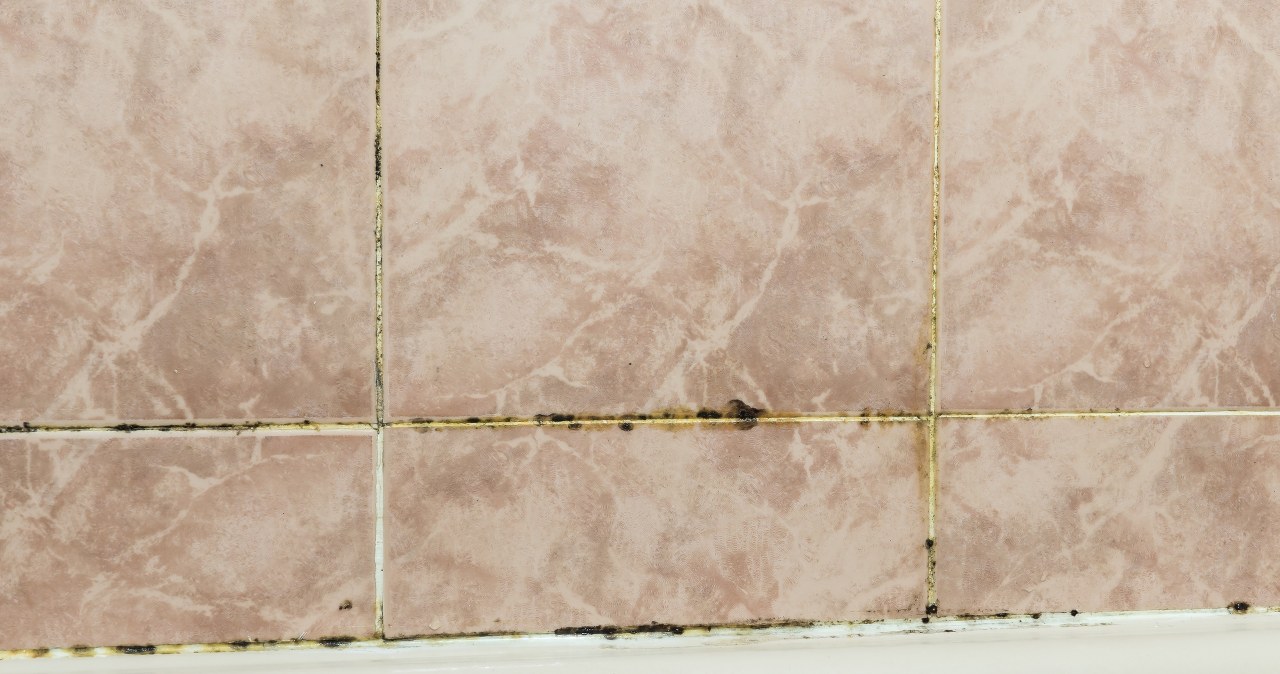 Twoje fugi nie muszą tak wyglądać. Wystarczy, że zastosujesz prosty trik, a będą znacznie czystsze /123RF/PICSEL