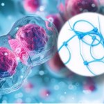 Twoje komórki używają trytytek? Polscy naukowcy właśnie to odkryli