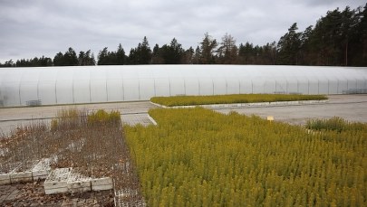 Twoje Niesamowite Miejsce: Gospodarstwo Szkółkarskie w Mielnie