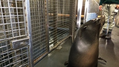 Twoje niezwykłe miejsce: zakamarki Afrykarium w ogrodzie zoologicznym we Wrocławiu