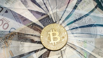 Twórca Red is Bad wpłacił poręczenie w bitcoinach? 