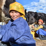 Tybetańczycy podzielają los Ujgurów? Niepokojące wieści z Chin