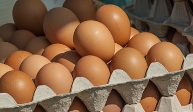 Tych jajek nie kupuj. GIS ostrzega przed salmonellą