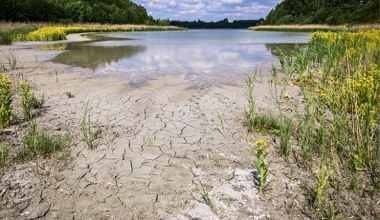 Tych jezior wkrótce nie będzie na mapie. Katastrofa ekologiczna w Wielkopolsce