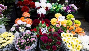 Tych kwiatów nie kupuj na Wszystkich Świętych. Nie przetrwają dwóch dni