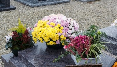 Tych kwiatów nie kupuj na Wszystkich Świętych. To zły omen