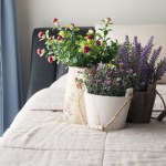 Tych kwiatów nie trzymaj w sypialni. Mogą zakłócać odpoczynek