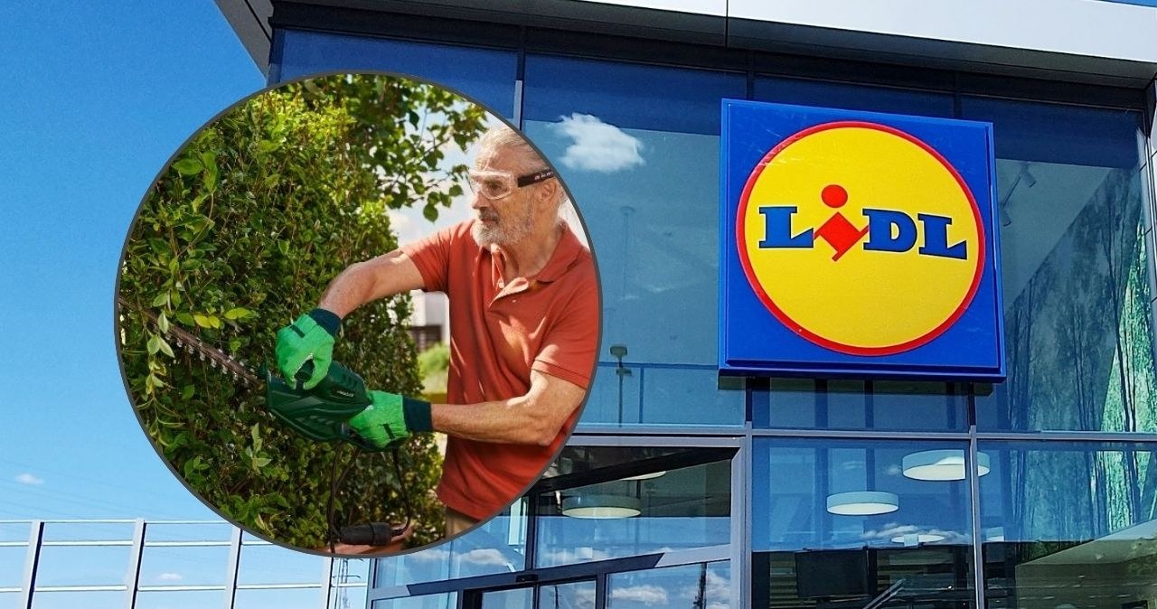 Tych narzędzi szuka każdy właściciel ogrodu. Lidl rusza z promocją Parkside! /adobestock/Lidl /INTERIA.PL