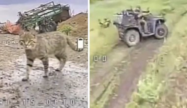 Tych Rosjan zgubił kot. Ostrzegł ukraińskie drony i się zaczęło