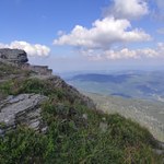 Tych roślin nie ma w żadnym innym miejscu na świecie. Zobaczysz je na Babiej Górze