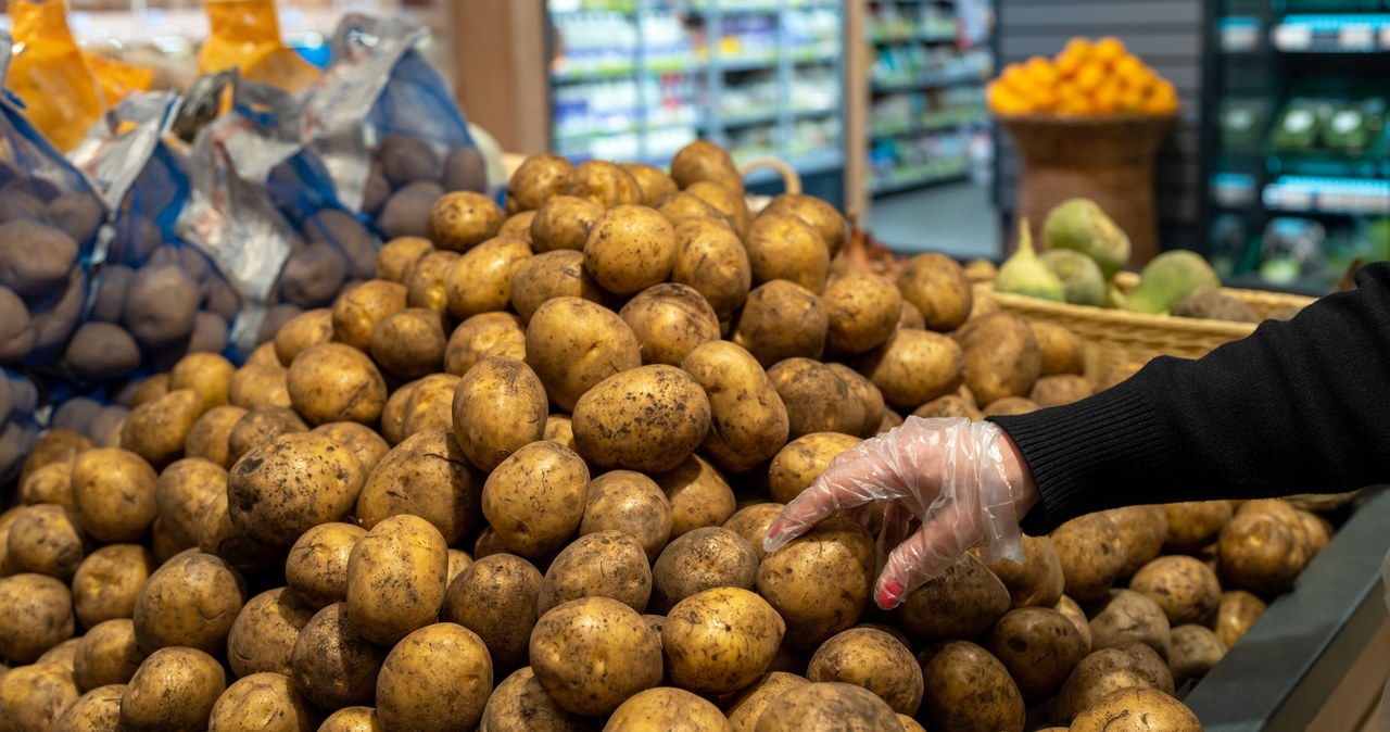 Tych ziemniaków lepiej nie jedz. GIS ostrzega  wycofuje ze sklepów. /123RF/Picsel, 123RF/Picsel /Pixel