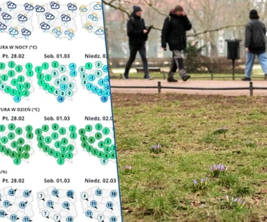 Tydzień pełen zmian. Pogoda zmierza w określonym kierunku