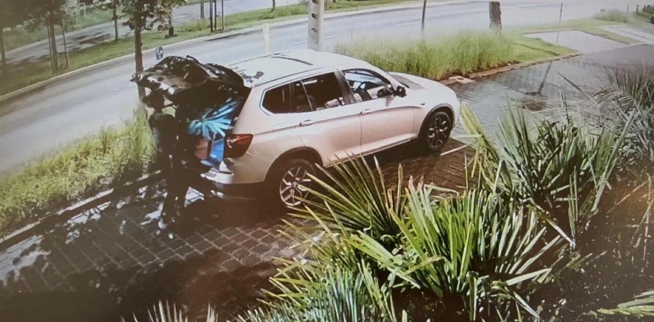 Tygodniami kradła egzotyczne rośliny, fot. Policja Sopot /