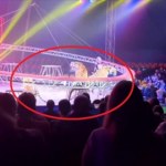 Tygrys uciekł na widownię. Są nagrania z cyrku w Rosji