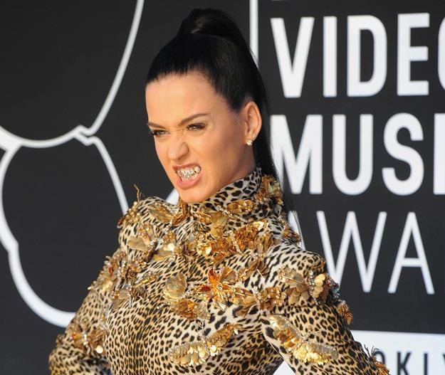 Tygrysie miny Katy Perry (fot. Jamie McCarthy) /Getty Images/Flash Press Media