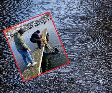 "Tykające bomby ekologiczne". Płetwonurkowie posprzątali dno jeziora Niegocin